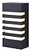 Canarm Ltd. Fidjy Black LED Outdoor Wall Light