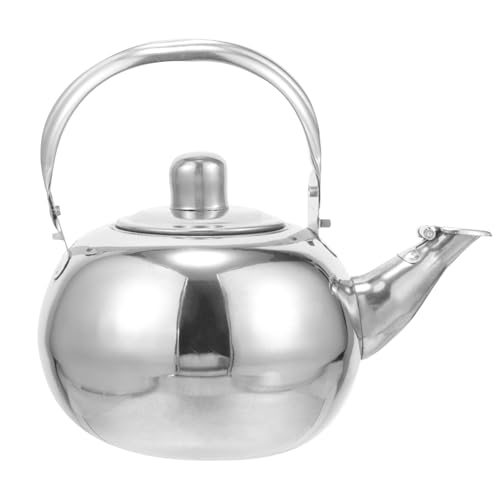 UTHCLO Tetera Inoxidable con Filtro Integrado Capacidad Resistente al Calor para Estufa para Infusiones de Sueltas y Flores Uso Doméstico Viaje