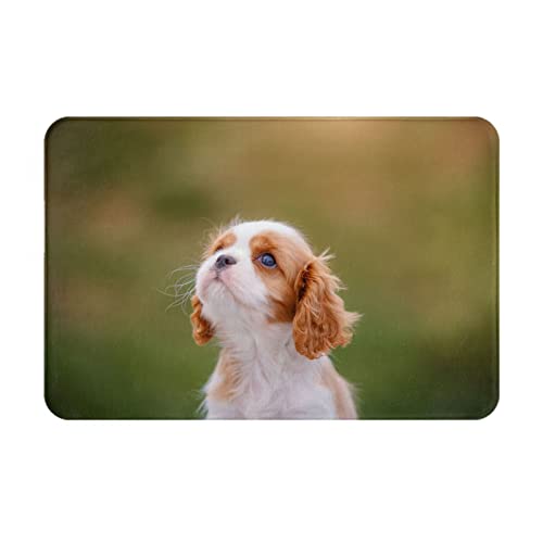 ���փ}�b�g�L���o���A�X�p�j�G�����A�j�������}�b�g�z�������R�ۖh�L�o�X�}�b�g�z������~�ߖh�J�r�������L���o�X���[���L�b�`���l�G���p�J�[�y�b�g40×60cmer188