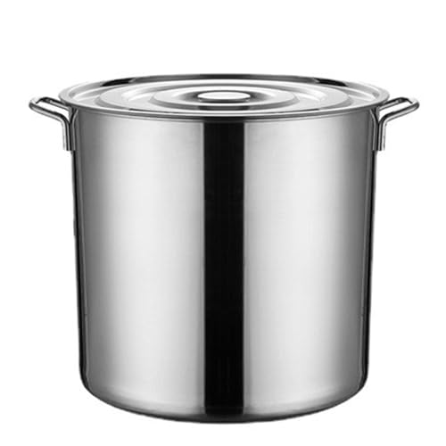 Marmite en acier inoxydable thermorégulée 45 cm pour mijotage parfait