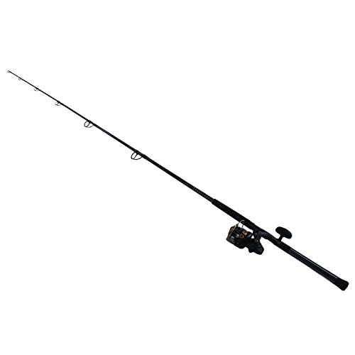 Daiwa BG5000 Saltwater Combo