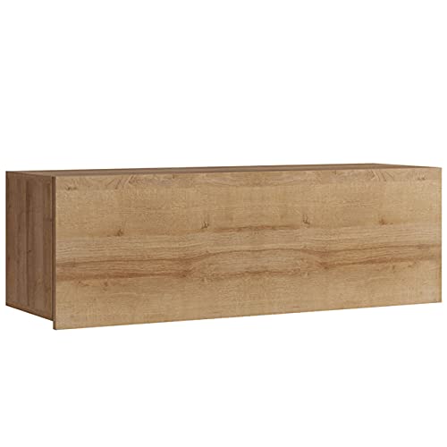 RAVIO Hängeschrank Fango 1-Türig Bücherregal Wandregal Klapphängeschrank Wandschrank Küchenschrank Hängeregal Wohnzimmer Hangeboard Regal (Eiche Gold) Cover