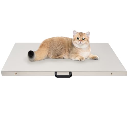 Báscula digital plataforma grande 300kg acero inoxidable miniatura 6