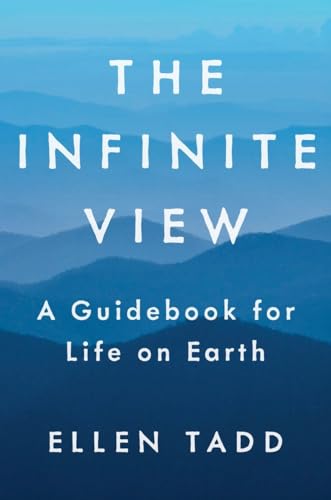 The Infinite View view 2