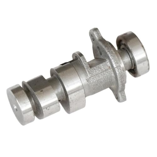 Engranaje de árbol de levas ZS CBS250 que reduce vibraciones en motor Cbs300 ciclón