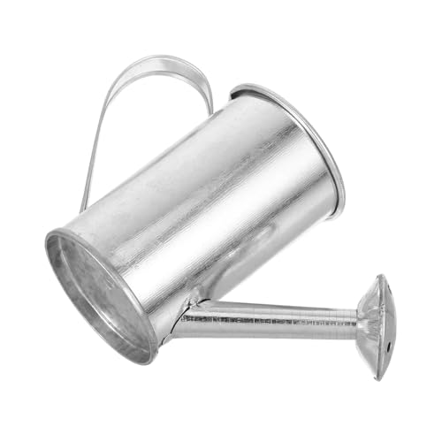 PRETYZOOM Regadera Tazón De Agua para Mascotas Que Se Arrastran Decoracion Artificial Plantas De Cubo De Flores Plantas Suculentas Decoraciones De Carretilla Decoración Hoja De Hierro Silver