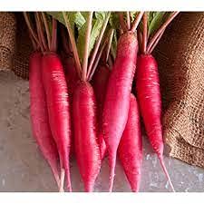 Desi Red Radish / Mooli Seed (B09H4CS3MS) Amazon Price History, Amazon Price Tracker