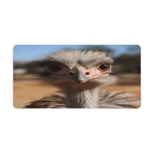 Cute Ostrich Mouse Pad Grande Antideslizante 60x30 cm