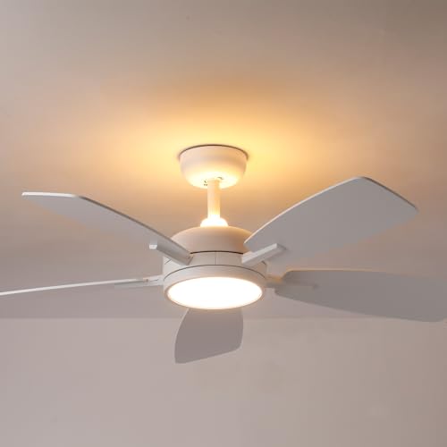 Roomratv V[Ot@ Cgt 46C` R iCgCg @\t o[Vu mCYX 6iK ^C}[ zCg _ V[Ot@ rO[ Q Lb` LX[ OpeBIp