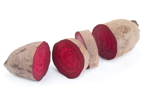 500 Samen lange Rote Beete Cylindra Beta vulgaris Rüben Bete