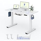 FLEXISPOT