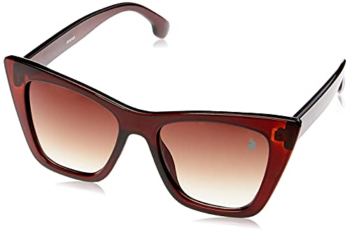 Óculos de sol óculos de sol, Polo London Club, Feminino, marrom, Único