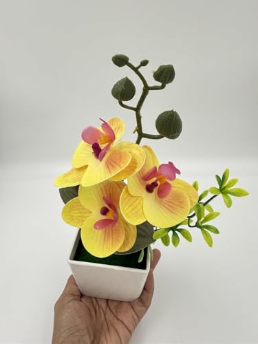 Image of Florona Artificial Orchid Flowers for Decoration with White Plastic Pot | 25 cm Artificial Flowers with Pot | Phalaenopsis Flower with Vase | Realistic Flower for Home, Bedroom, Office (Yellow)