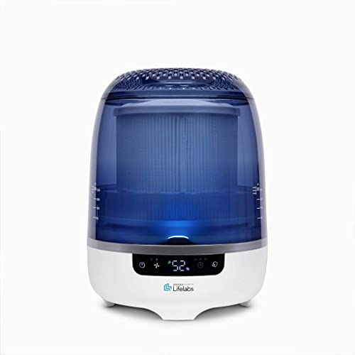 Best Air Purifier Plus Humidifier For Your Home
