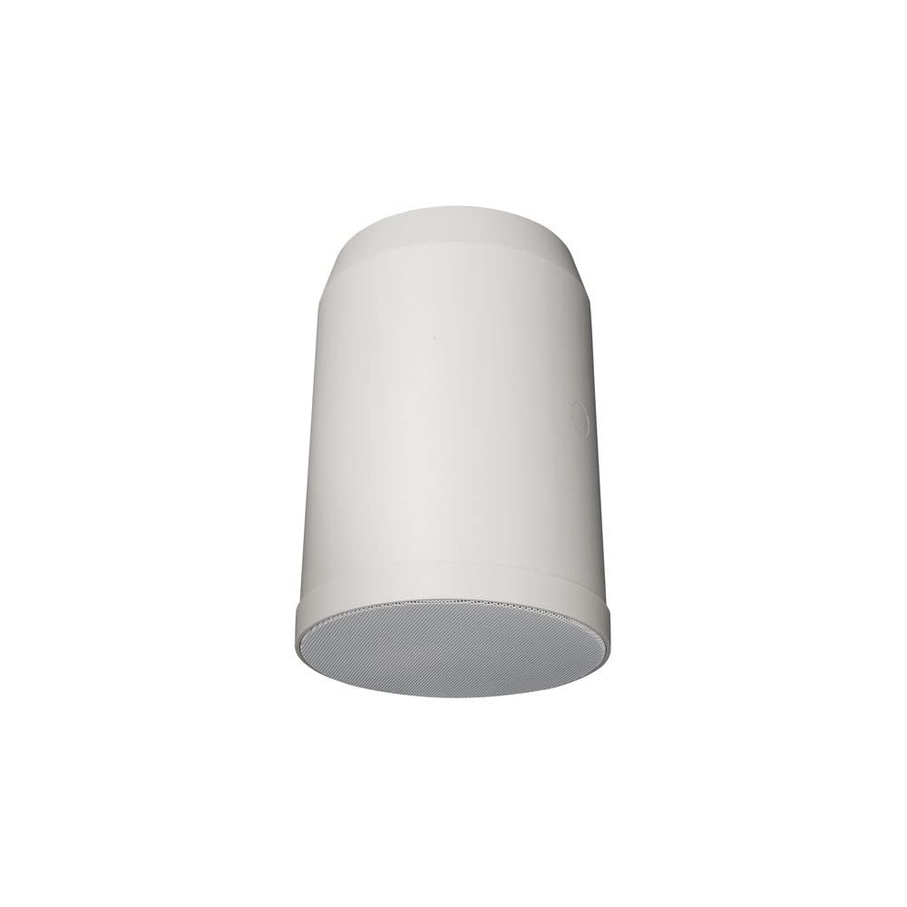 HS-620P Hängelautsprecher 6“ 20W