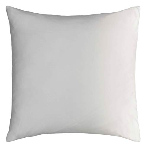 Beautyrest Beauty Rest Henriette Paisley Decorative Pillow for Sofa Couch Bedroom Living Room