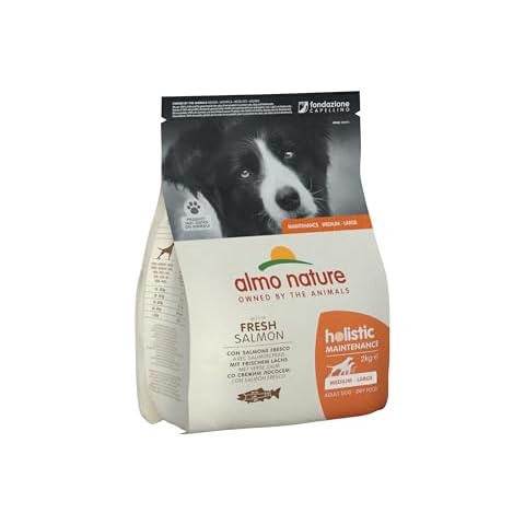 Almo Nature Holistic Dog Food with Salmon and Rice Cover
