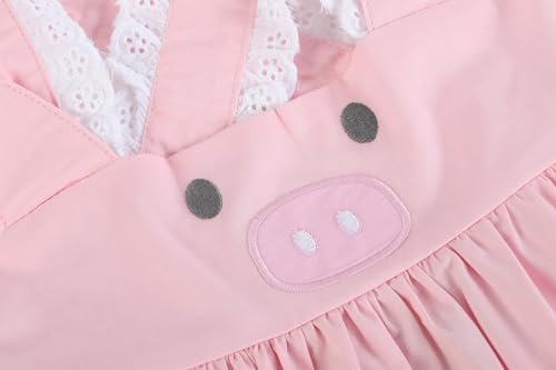 Baby Girls and Toddler Pink and Lace Piggy Dress4