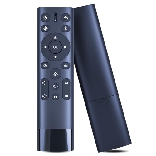 Télécommande de rechange VS18245 pour projecteur LED Viewsonic X1000 X2 M2E