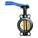 Legend Valve Butterfly Valve Waferlever 7" Lv116-407