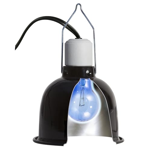 (3 Boxes) Zoo Med 2-Pack Daylight Blue Reptile Bulb, 60-watt - 6 Bulbs Total by Zoo Med - Image 4
