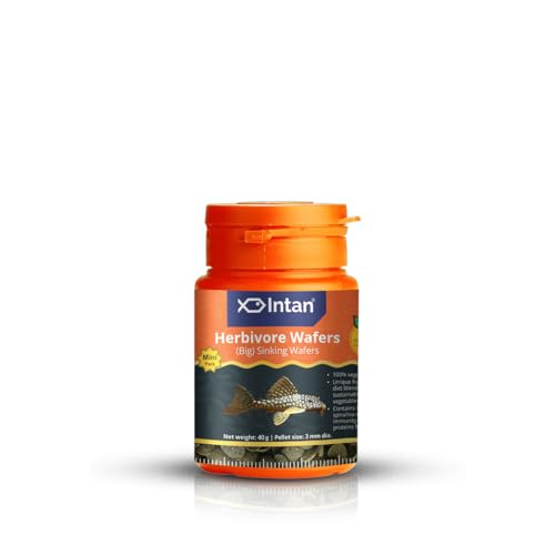 Image of Intan Herbivore Wafers (Big 3.0mm Sinking) | 40gm - Highly Nutritious Ornamental Fish Food for Herbivorous Fish - Mollies, Mbunas & Plecos | Growel Feeds