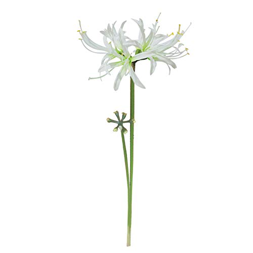 Image of 6 Stems 26.38 Inch Artificial Lycoris Radiata Spider Lily Flowers for Home Garden Decoration (White)
