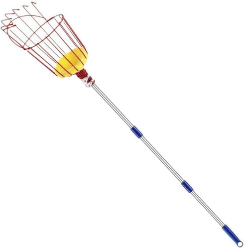 Barino t[csbJ[ y Lk `  _ ʕn oXPbg ʕ `_ p |p ʎp ʕlJS [sAi]