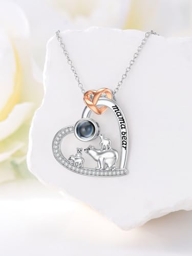 Mom Jewelry Gifts 925 Sterling Silver Mama Bear/Dinosaur/Cat/Bird/Chicken Necklace with 1 2 3 4 5 Cubs for Women Mother Wife Grandma3