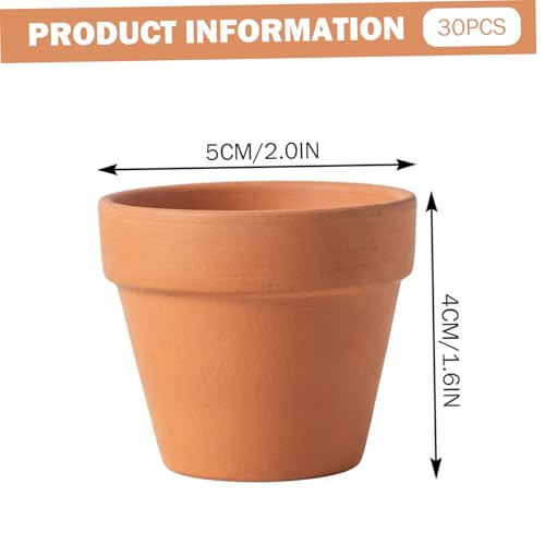 Mini pots en terre cuite premium pour artisanat et compositions de cactus