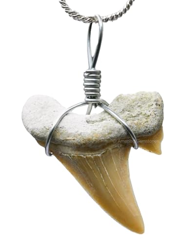 Handmade Shark Tooth Necklace