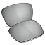 Silver Mirror - Polarized