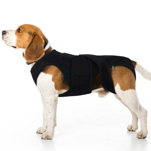 LeleTail Dog Back Brace for Small Dogs - Adjustable Spinal Stability Brace with 5 Flexible Plastic Strips, Comfortable for Senior or Less Mobile Small Dogs, Machine Washable, Black S