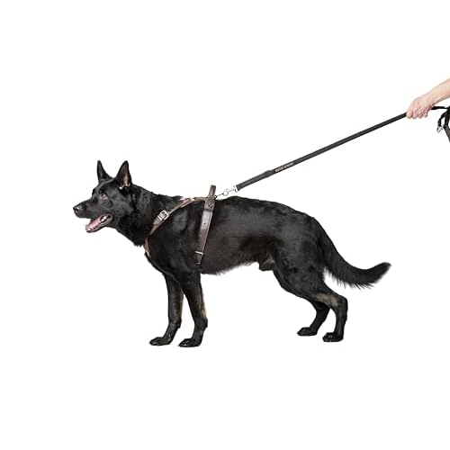 Dingo Gear Hundegeschirr aus Leder für Hunde, handgefertigt, HQ Dog Fashion, feine Bronze, M