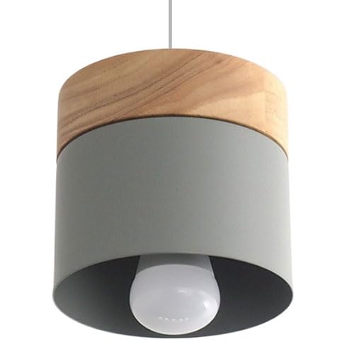 Lámpara Colgante de Metal de Estilo Minimalista Retro, Base E27, lámpara de Techo de un Solo Cabezal, luminaria empotrada, Ideal para Biblioteca, Oficina, Sala de reuniones y decoración.