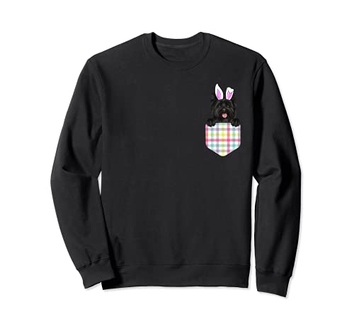 Easter Plaid Cairn Terrier Bunny Dog In Pocket Sweatshirt, Black