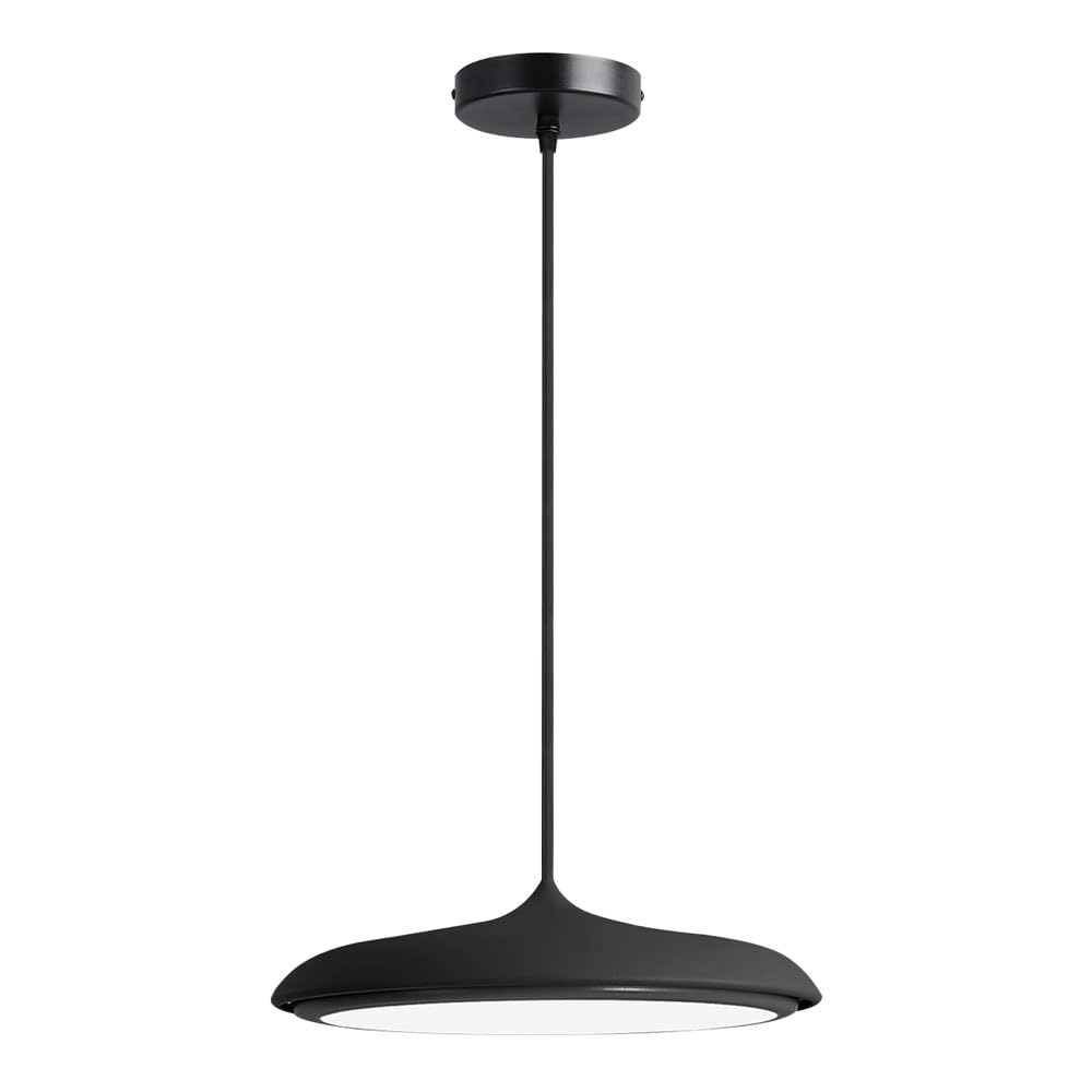 ZGDHWCR LED Light Source Acrylic Lampshade Hanging Light, Single Head Height Adjustable Chandelier, Modern Industrial Style Iron Pendant Lamp, Restaurant Living Room Decoration Light Fixtures