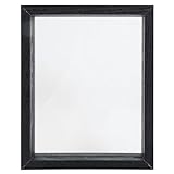 Vitrine pour spécimens – le cadre est fabriqué dans un matériau de haute qualité, résistant à une utilisation prolongée. cadre à monter soi-même
