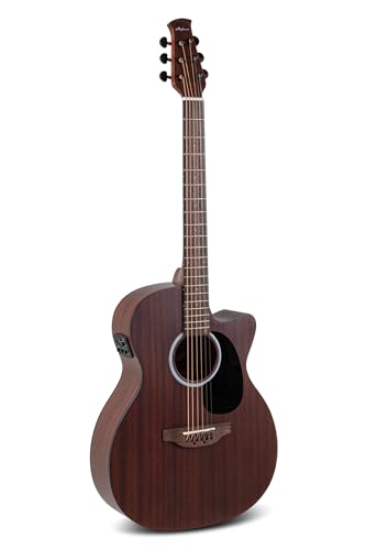 Protezione e funzionalità aggiuntive: la chitarra è dotata di battipenna, accordatori cromati e cutaway per facilitare l'accesso ai tasti più alti. È inoltre dotata di un preamplificatore Applause AP3PT, che offre un accordatore integrato, rendendola adatta alle esibizioni dal vivo e alla registrazione. L'uso di corde Adamas di alta qualità garantisce un'accordatura precisa e un suono eccellente.