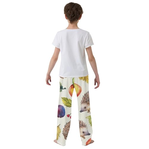 ZZXXB Hedgehogs Fruit Boys Long Pants Soft Trousers Elastic Waist Kids Lounge Bottoms with Pockets S-XL3