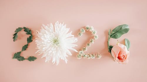 Ditch the Resolutions