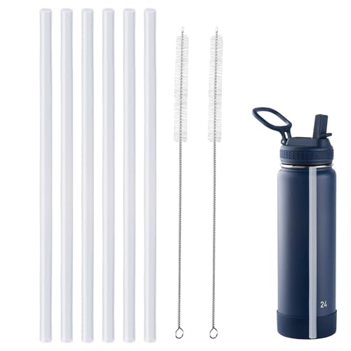 Cannuccia di ricambio compatibile con Takeya da 680,4 g, plastica per uso alimentare e priva di BPA, 6 cannucce e 2 spazzole compatibili con Takeya