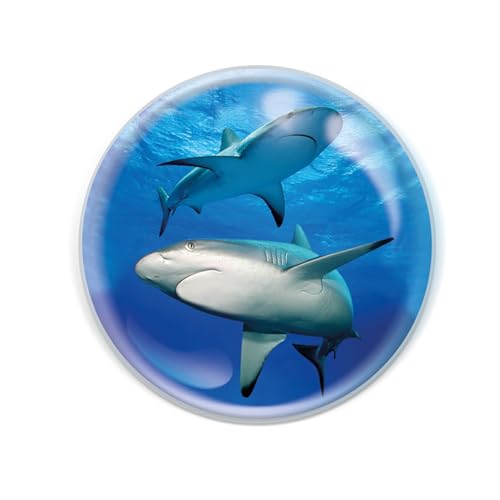 Imanes Magnidome - Tiburón de Deluxebase. Imán de Nevera de Cristal con diseño de tiburón para niños. Magníficos imanes con Forma de cúpula para decoración y Accesorios del hogar