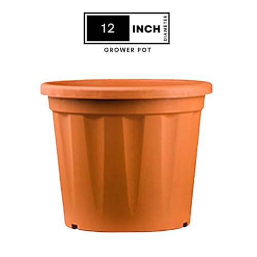Image of 12 Inch Heavy Duty Plastic Planter | Grower Pot /Garden Pot for Home & Garden (Terracotta) (Pack of 1)