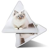 Lot de 2 autocollants triangulaires 10 cm – Sacré Birman, chat de Birma, chaton pour ordinateurs portables, tablettes, bagages, scrapbooking, réfrigérateurs #15565