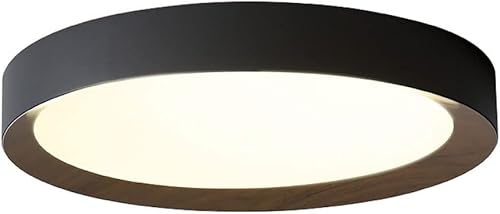 LLUCKYS Lámpara de techo LED de atenuación continua con control remoto regulable LED de techo creativo simple y plano moderno accesorio de montaje