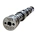 BTR Brian Tooley Racing Truck Norris NSR Camshaft No Springs Required for Gen 3/4 LS 4.8 5.3 5.7 6.0 6.2 LS1 1999-2013 Vortec (Cam Only)