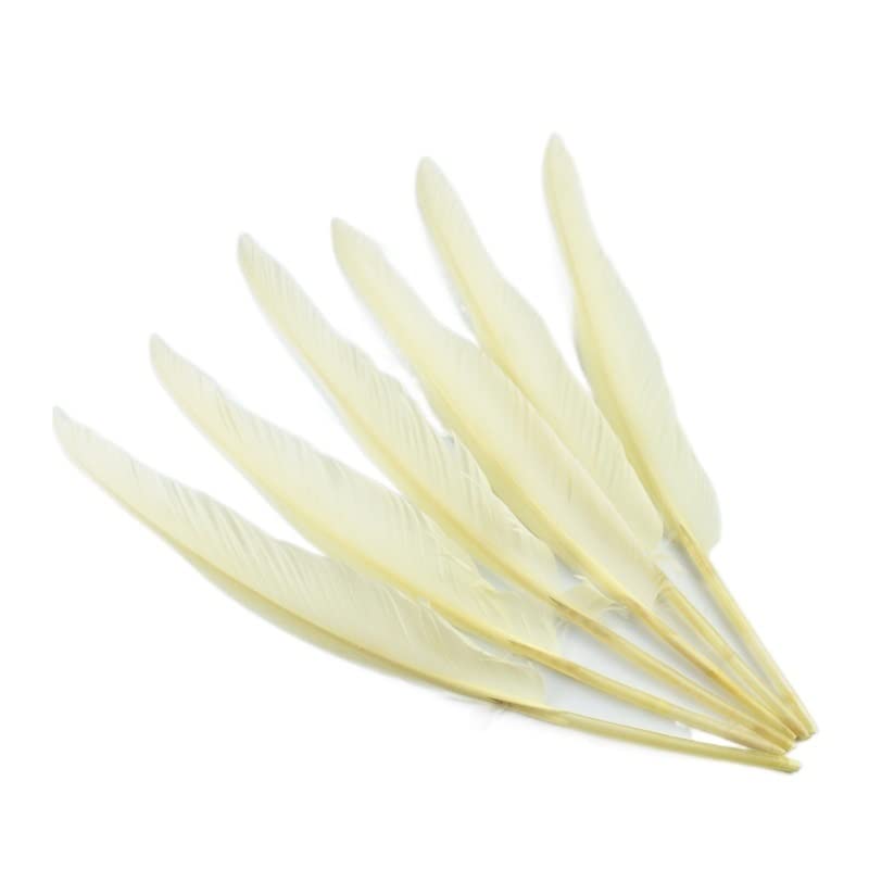 Plumas blancas y beige de pavo seleccionadas de 25-30 cm para accesorios de joyería fina