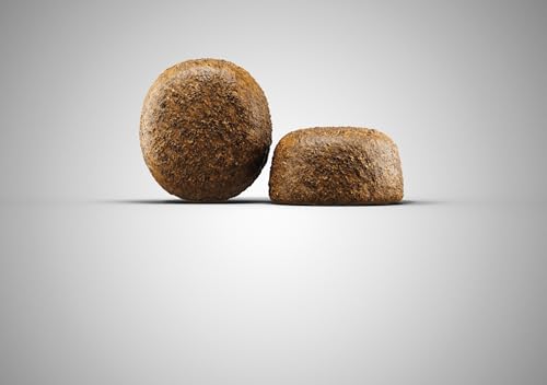 JOSERA Large Breed Huhn & Reis (1 x 12,5 kg) | Premium Trockenfutter für ausgewachsene Hunde großer Rassen | mit Lachsöl | weizenfrei | wertvolle Fettsäuren | XL-Kroketten gegen Schlingen | 1er Pack