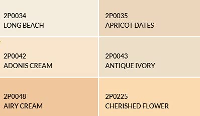 Image of Berger Paint for Interior Wall- Living Room, Kitchen, Bedroom, Conference Room | Brand- Bison Glow Acrylic Interior Emulsion| Orange Shades (1 L, 4 L, 10 L, 20 L) (20 Liters, Ivory Coast)